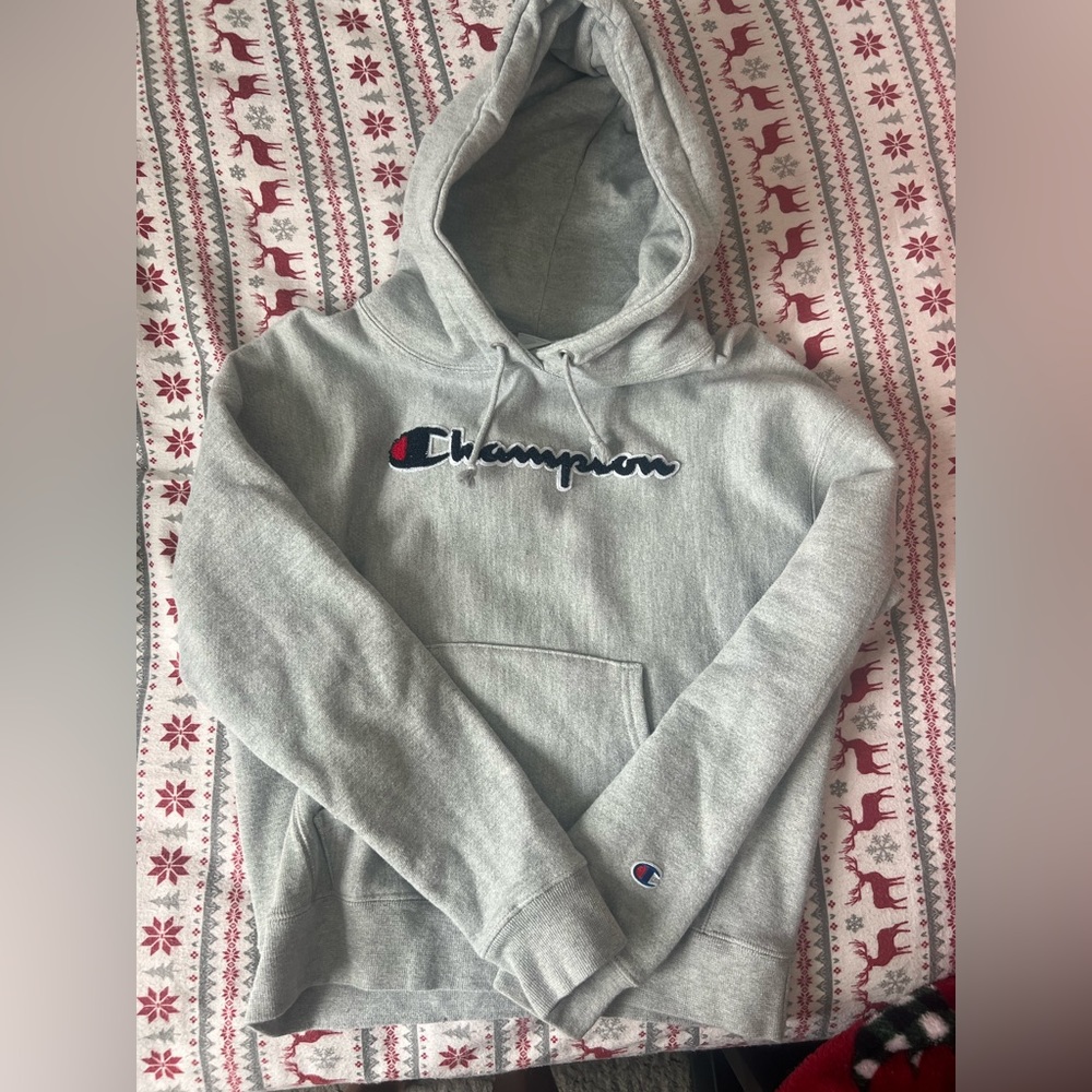 Champion hoodie